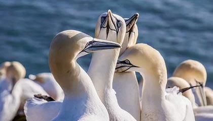 九游游戏平台-【法甲】姆巴佩生日替补登场 巴黎伤三后卫客平头羊